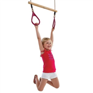 Red Handle Ring Trapeze for climbing frame